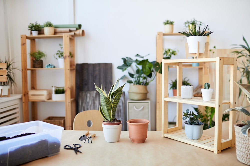 Entretien de jardin : un atout majeur pour l'immobilier