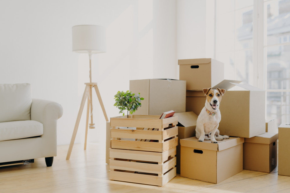 Déménager à l'étranger : les clés pour une expatriation réussie